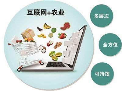 互聯(lián)網技術賦能農業(yè)現(xiàn)代化 智慧農業(yè)網頁設計解析